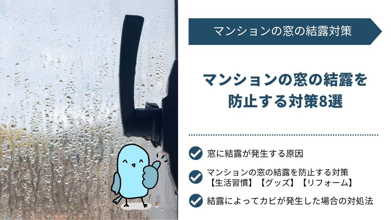 マンションの窓の結露を防止する対策8選｜発生の原因やカビの対処方法も解説