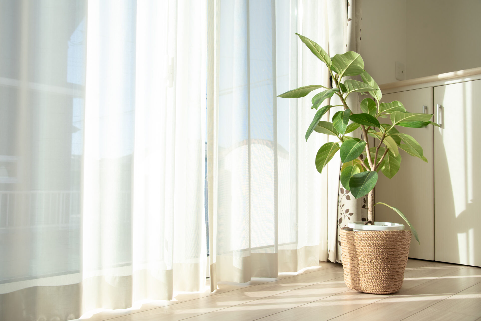 先進的窓リノベ2026事業とは｜事業概要を解説